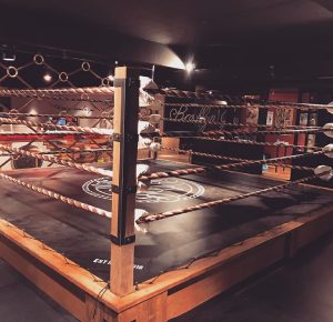 Boxingrings.nl-Boksring-MMA-ring